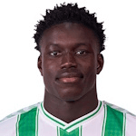 N. Mendy profile