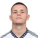 D. Joveljić profile