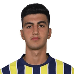 Y. Demir profile