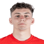 L. Stefanovic profile