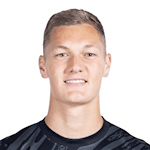 K. Scherpen profile