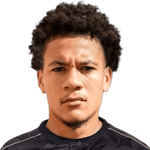 J. Schingtienne profile