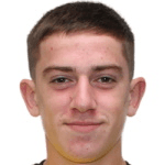 F. Delap profile