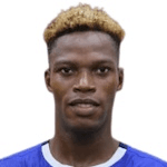 D. Dokou profile