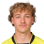 C. Piper profile