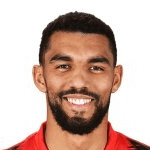 L. Klemenz profile