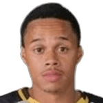 Robinho profile