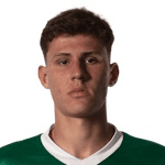 Benedetti profile