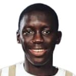 N. Njie profile
