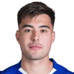 A. Anselmino profile