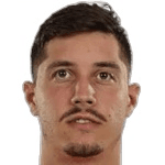 D. Miculescu profile