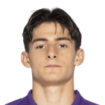 N. Fortini profile