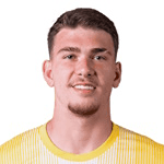 Renato Bellucci profile