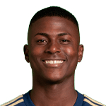 N. Villareal profile