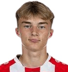 K. Potulski profile