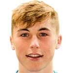 D. Campbell profile