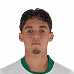 Ali Houary profile