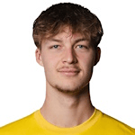 V. Nielsen profile