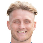 C. Donaldson profile