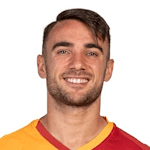 Y. Akgün profile