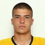 M. Čupić profile