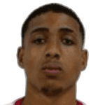 Wallace profile
