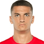 N. Cvetković profile