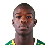 N. Sibisi profile