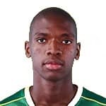 L. Dube profile