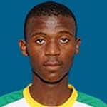 N. Sibiya profile