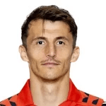 A. Budimir profile