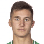 L. Bengtsson profile