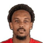 N. Saintini profile