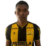 Ruan profile