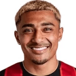 J. Araujo profile
