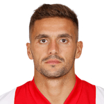D. Tadić profile