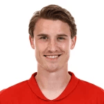 M. Høibråten profile