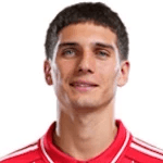 N. Domínguez profile