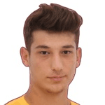 B. Bozan profile