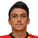 S. Dikmen profile