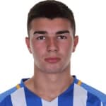 D. Mândroiu profile