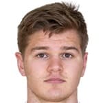C. Horgan profile