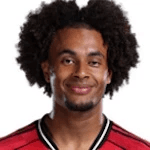 J. Zirkzee profile
