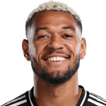 Joelinton profile
