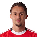 A. Dedic profile