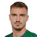 P. Pokorný profile