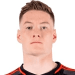 D. Schnegg profile