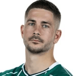 R. Schmid profile