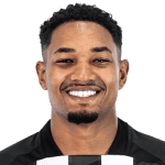 Fernandinho profile