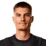 P. Schick profile